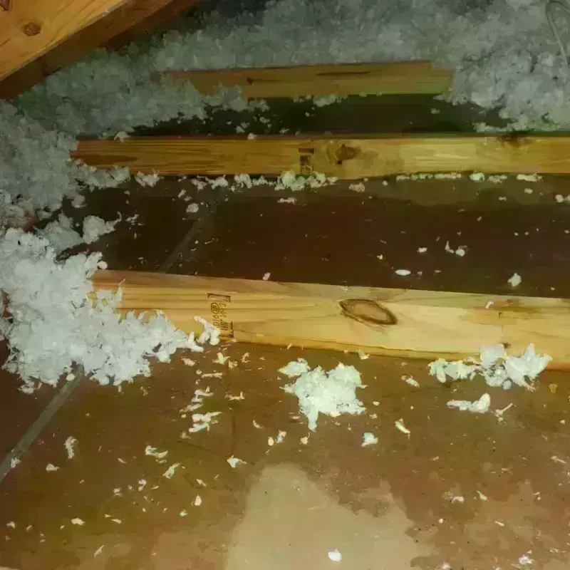 Attic Water Damage in Johns Creek, GA